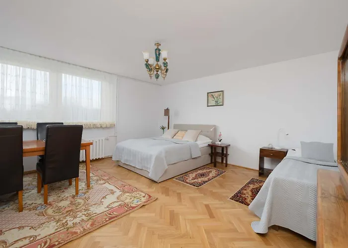 Atmospheric In The Center With Air Conditioned Living By Renters Apartman *